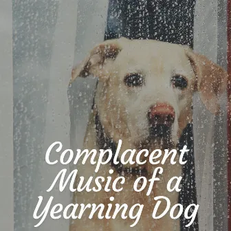 Complacent Music of a Yearning Dog by Dog Sleep Academy