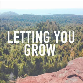 Letting You Grow by Laura Hahn