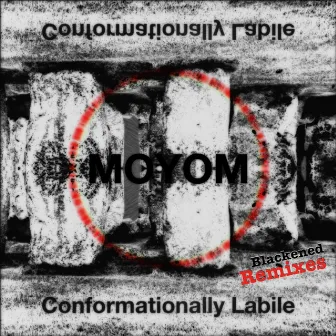 Conformationally Labile (Blackened Remixes) by Blackened Brothers