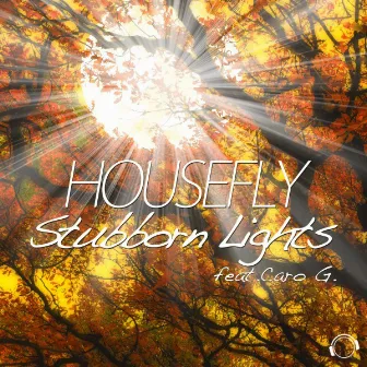 Stubborn Lights by HouseFly