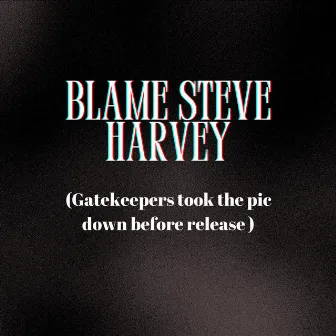 Blame Steve Harvey by Unknown Artist