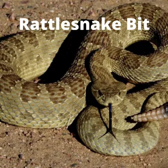 Rattlesnake Bit by Th@ ?h17