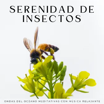 Serenidad De Insectos: Ondas Del Océano Meditativas Con Música Relajante by Misterios del océano