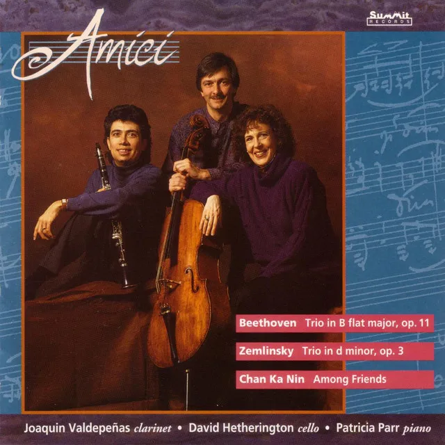 Trio in d minor, op. 3: Andante