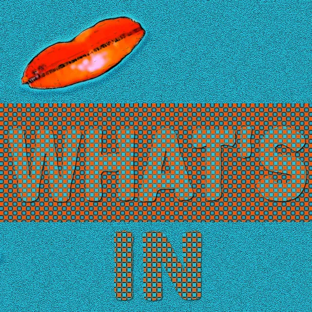 What's in (feat. DJ Keoki)