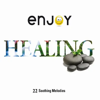 Enjoy Healing by Lin Fu Chan