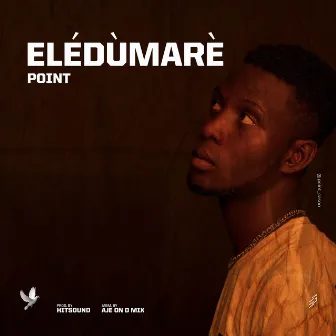 ELEDUMARE by Point