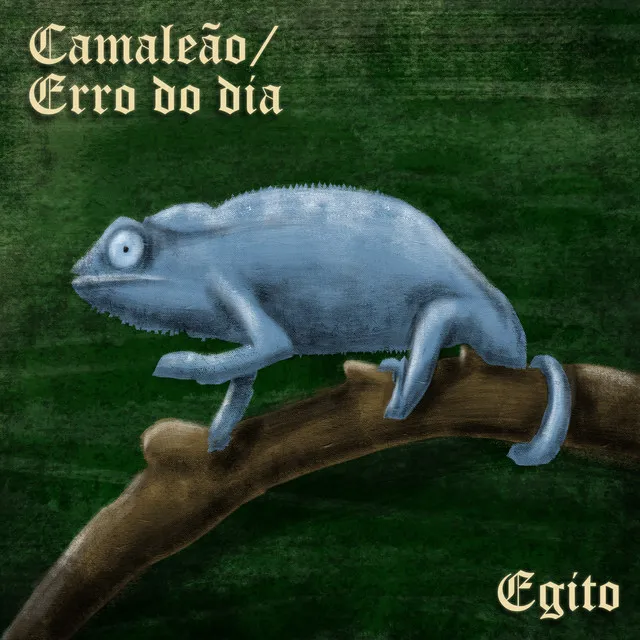 Camaleão/Erro do Dia