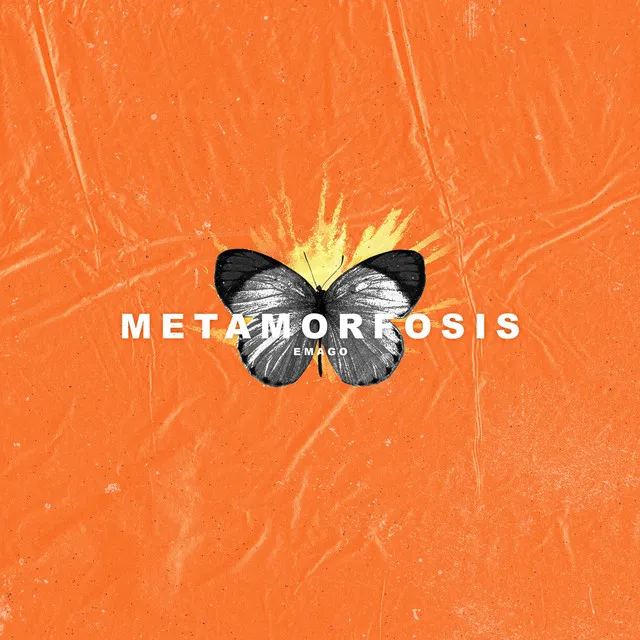 METAMORFOSIS