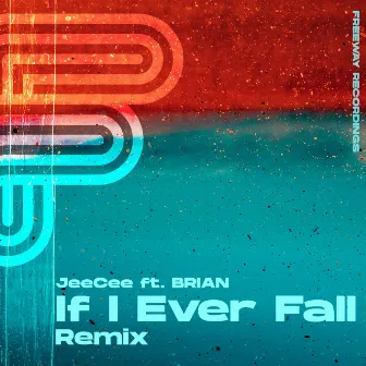 If I Ever Fall (Remix) by Brian