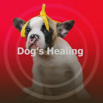 Dog’s Healing by Dog's Music