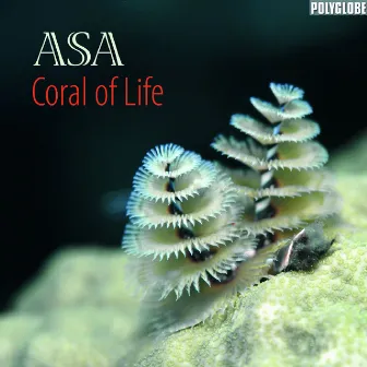 Coral of Life by Asa