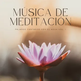 Música De Meditación: Pájaros Cantando Con El Agua Vol. 1 by Sonidos de Cascadas