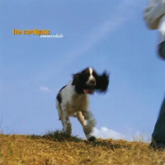 Emmerdale (Remastered) by The Cardigans