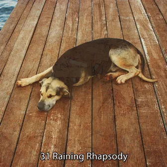 31 Raining Rhapsody by Thunder Storm