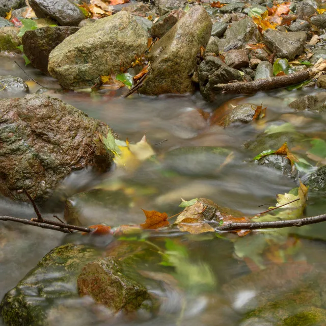 Calming Music in Waters Ethereal