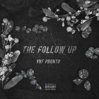 The Follow Up by YNF Pronto