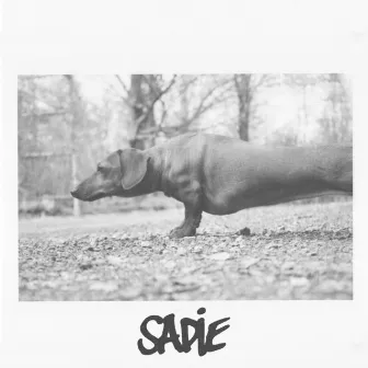 Sadie by Photay