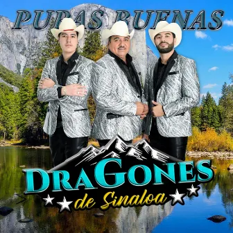 Puras Buenas by Dragones de Sinaloa