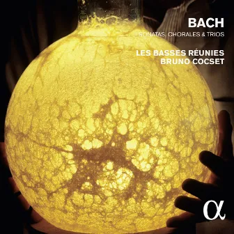 Bach: Sonatas, Chorales & Trios (Alpha Collection) by Bruno Cocset