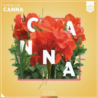 Canna by Kanallia