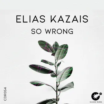 So Wrong by Elias Kazais