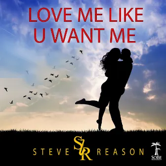 Love me Like U Want me by Steve Reason