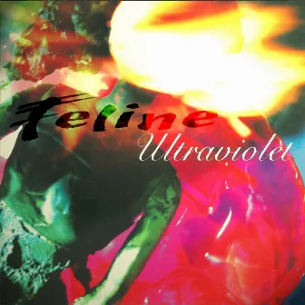 Ultraviolet by Feline