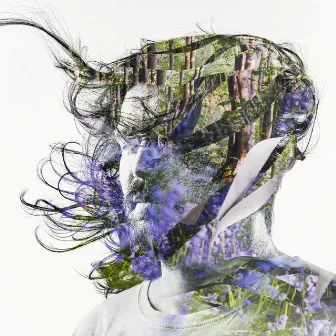 Ribbons by Bibio