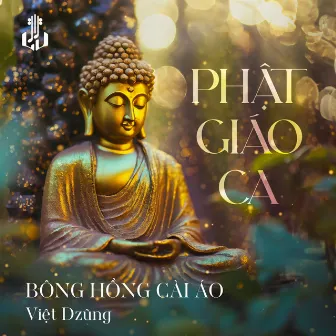 Bông Hồng Cài Áo (Remastered) by Việt Dzũng