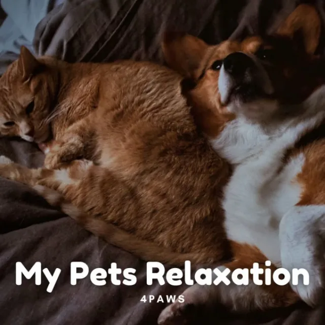 4Paws: My Pets Relaxation