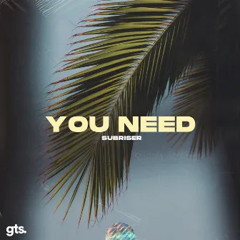 You Need by Subriser