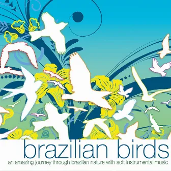 Brazilian Birds by Ulisses Rocha