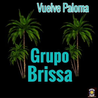 Vuelve Paloma by Grupo Brissa