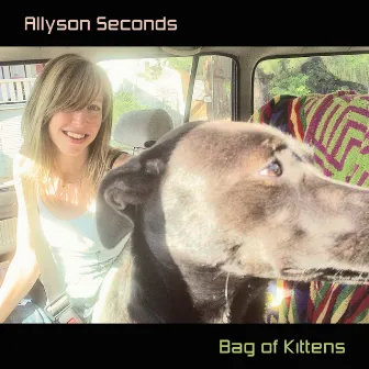 Bag of Kittens (2020 Reissue) by Allyson Seconds