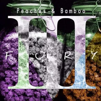 Peaches And Bamboo III by Fury Fuego