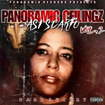 Panoramic Ceilingz Dark Luxury, Vol. 2 by ASI Scarfo