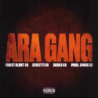 ARA GANG by WIG