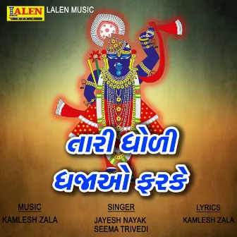 Tari Dholi Dhajao Farke by Jayesh Nayak