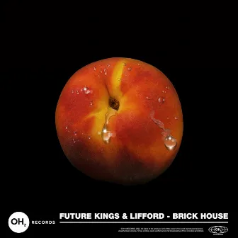 Brick House by Future Kings