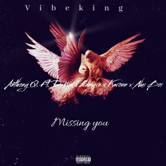 Missing You by Anthony Q.