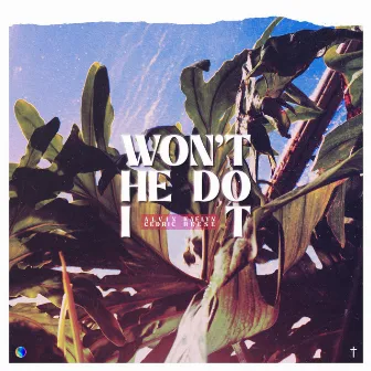 Won't He Do It by Kaelyn Reese