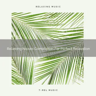 Relieving Noises Compilation For Perfect Relaxation by Pure Deep Sleep White Noise