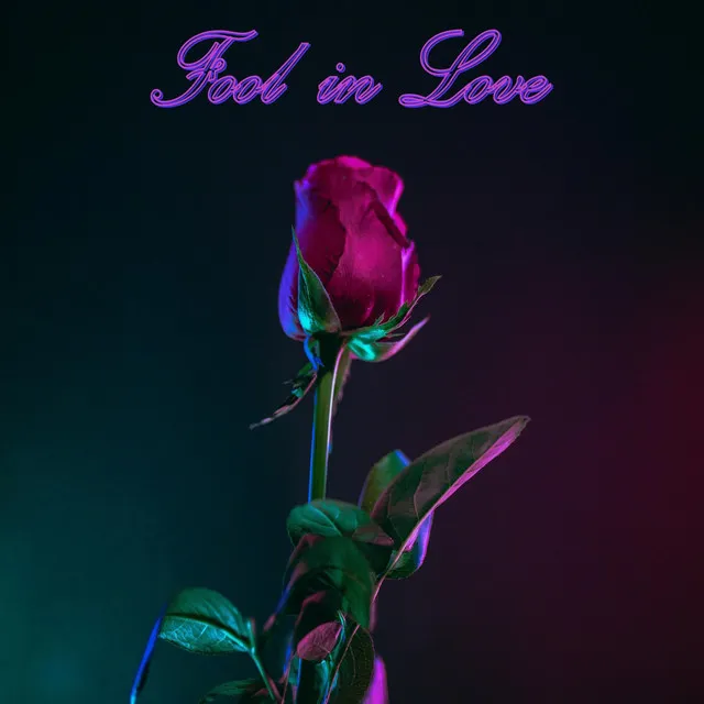 Fool in Love - Radio Edit