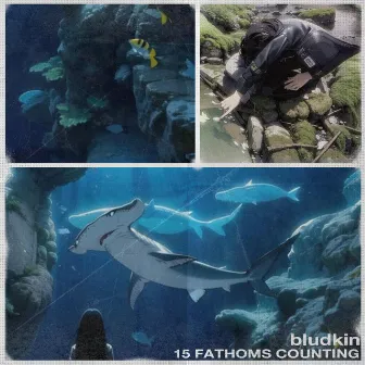 15 Fathoms Counting by bludkin