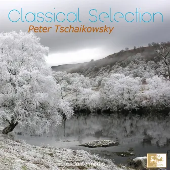 Classical Selection - Tchaikovsky: Symphonies Nos. 5 & 2 