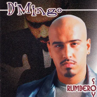 Rumbero Soy by D'Mingo