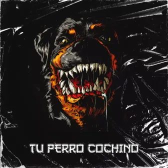 Tu Perro Cochino by SAIMON SC20