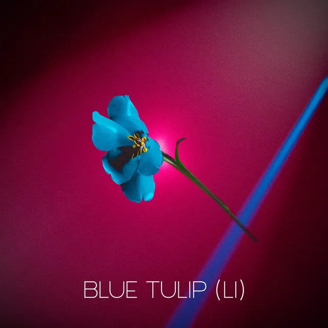 Blue Tulip Li