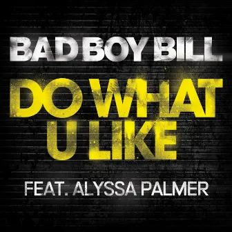 Do What U Like by Bad Boy Bill